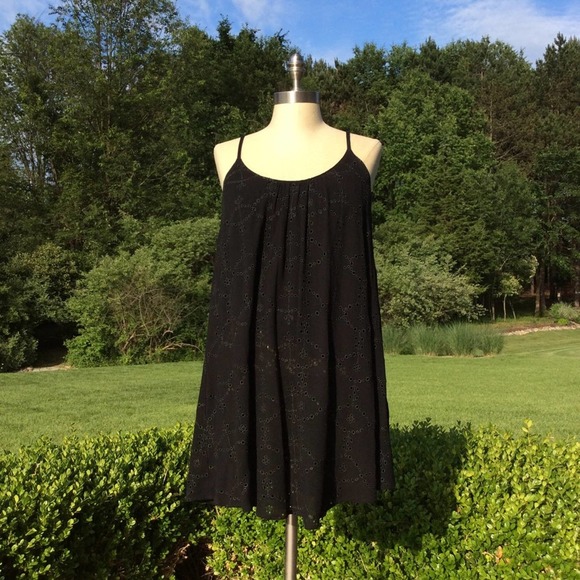 Astr Dresses & Skirts - ASTR The Label Embroidered Eyelet Swing Dress